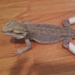 Meet your Posher, Nicki